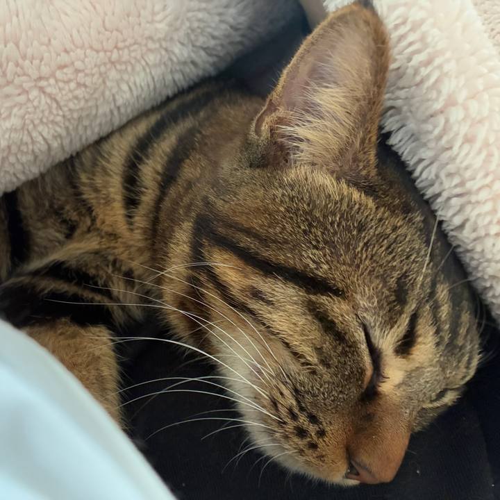 8e9fe289 06b0 46a4 9a7e 1f57b2738e80 1766803742464