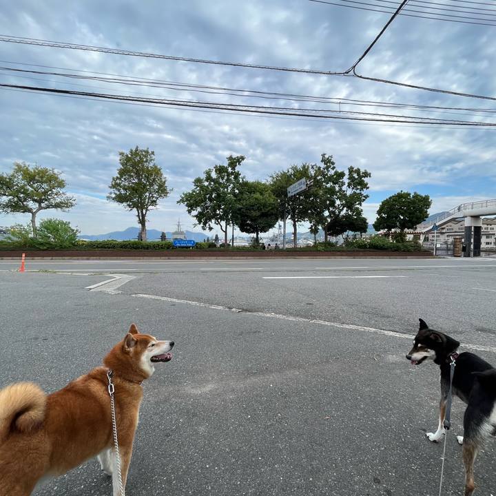 8e9fe9a7 af16 40e7 97a2 e6820e63a283 1664065644902