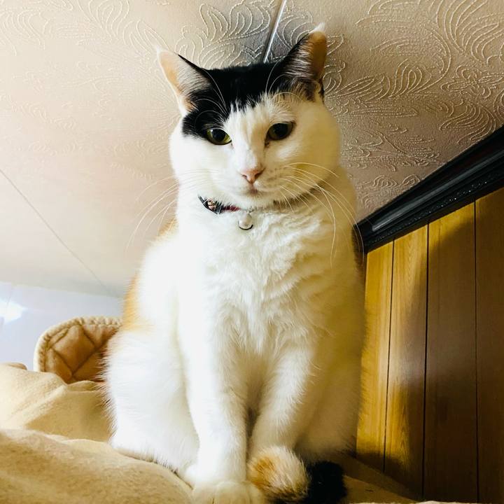 8e9fede9 05bf 45c7 870b f0d7788a10a2 1669509087211