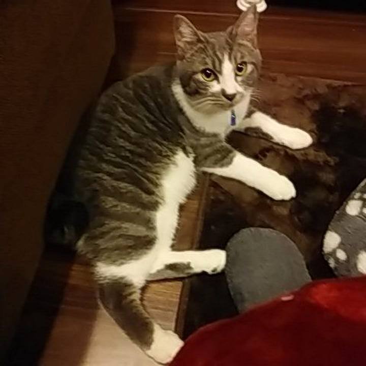 8ea02463 c189 44ac bc84 6f34c24223b9 1576231212818