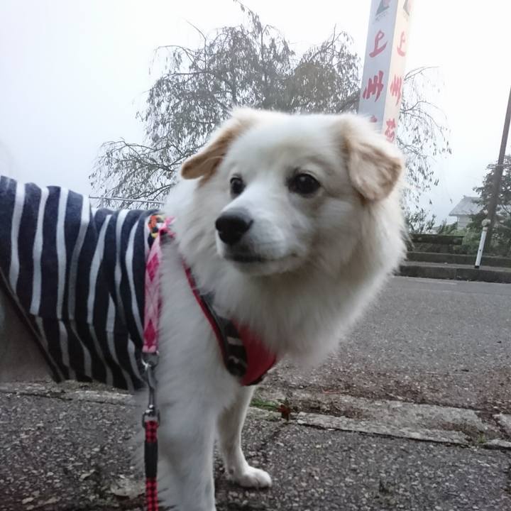 8ea034fe c382 4356 8a7d a7d6cba6a966 1508965715226