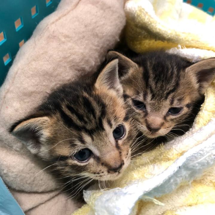 8ea0450e bfda 41ee b2f7 38c308cb84a3 1615703615654