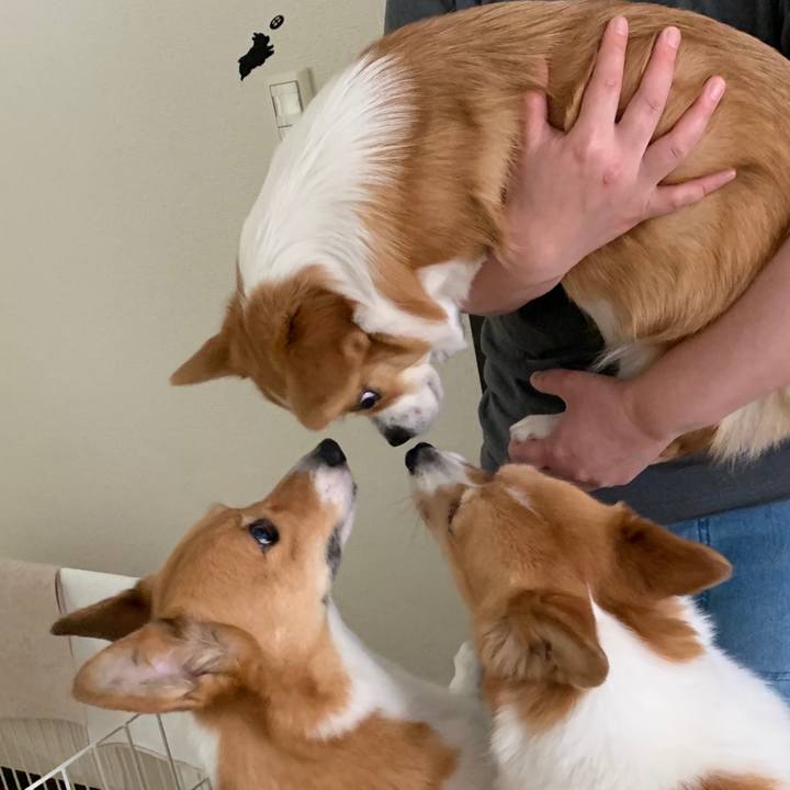 8ea0458c 9837 4d03 8d20 a058f202dd8a 1592974032211