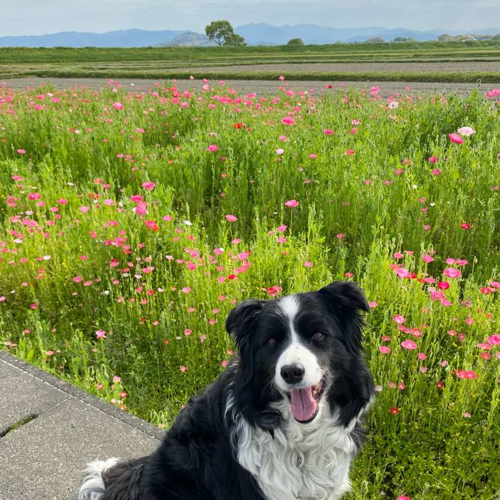 8ea056d8 d10b 404c b437 84e09f64901c 1619139297991