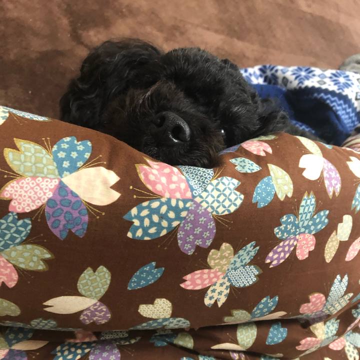 8ea06f35 948e 4390 80fd 5879d6cc34ba 1583825900290