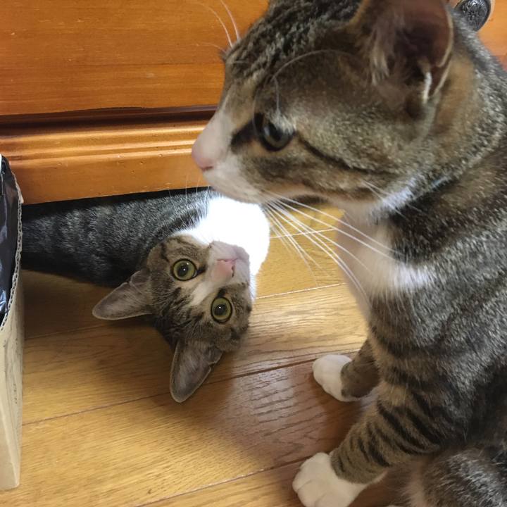 8ea0d49f 1e5d 4cc1 bf1d ff451b6b2304 1667876598098