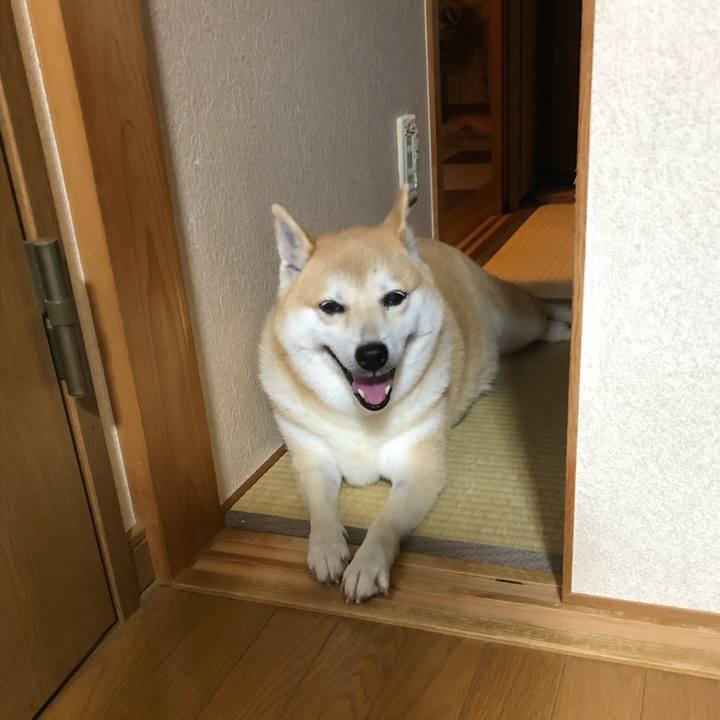 8ea0ec3b 07b5 42f5 9e5e c79129567e5c 1567332781230