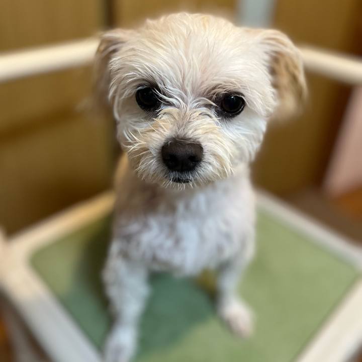 8ea13a2f 0460 4a46 9f0d 33e0041a6f2a 1663659012260