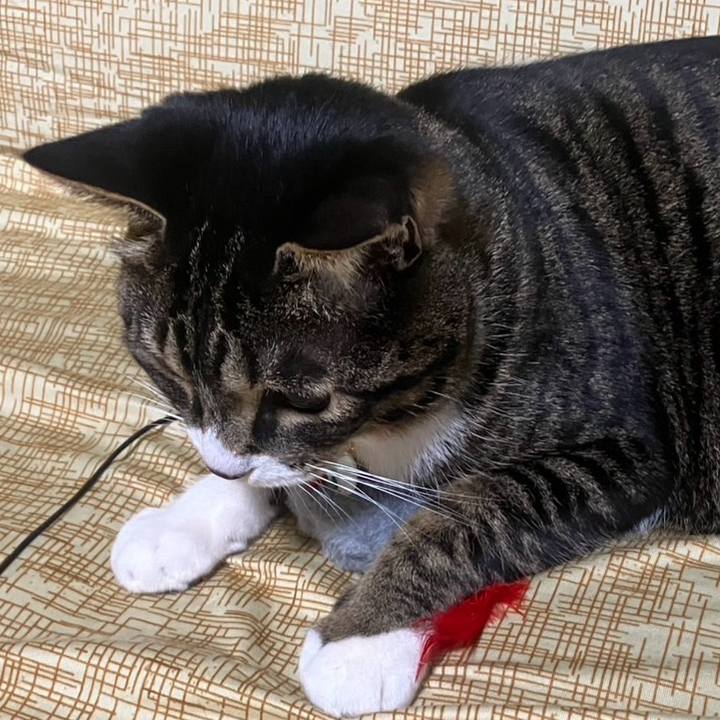 8ea167a1 80e3 40e0 b04e c993f16677de 1772666100904