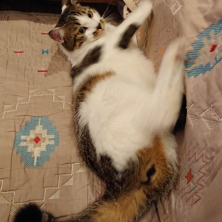 8ea1914b 2afb 46e3 acf5 02611ce0757e 1567599380070