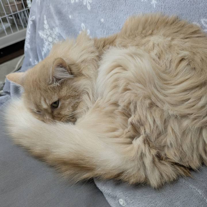 8ea1ec1b 184d 44c0 a9cd 8fd077f4f80e 1774663343767