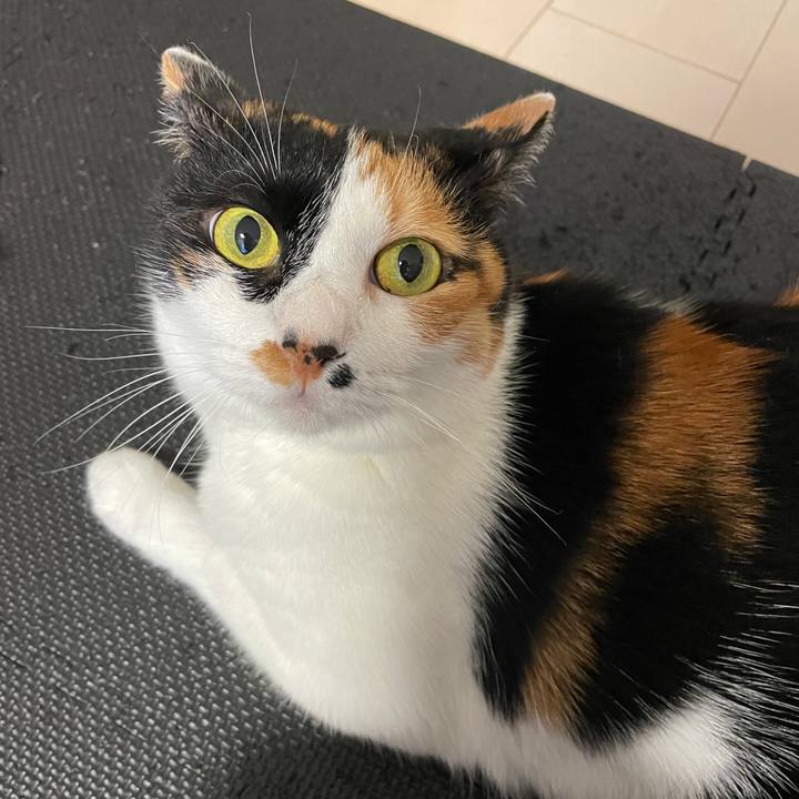 8ea212d3 9eae 43f1 8988 5104f374cb9f 1628510919926