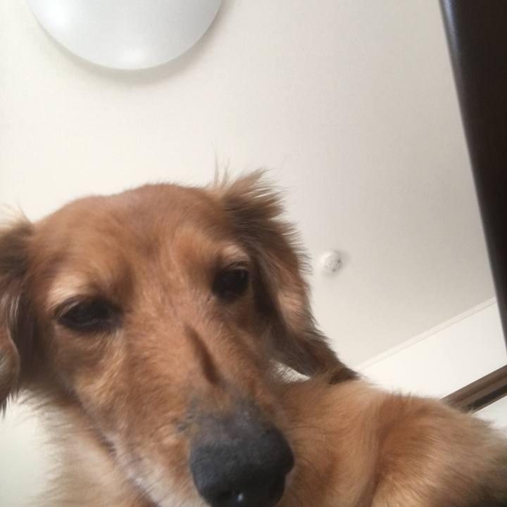 8ea23b05 0560 42d5 99c3 dbd93cfc7807 1583136714615