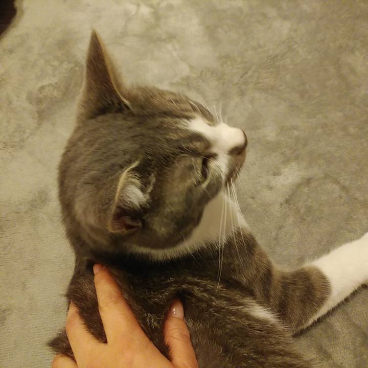 8ea25ed9 3673 4ebb ad45 dd96b2519791 1587214351293