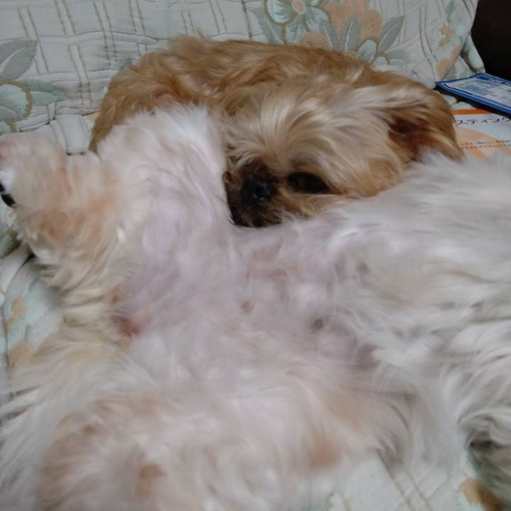 8ea27027 82f7 4d0e 98f1 b1130823b8f2 1605009545910