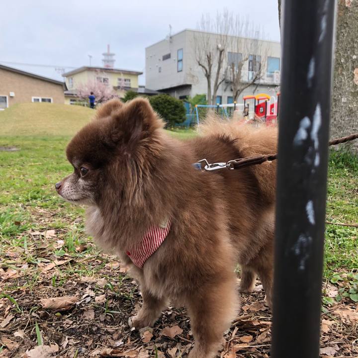 8ea2850f 9a39 482a 9b10 d335d258173f 1588222186939