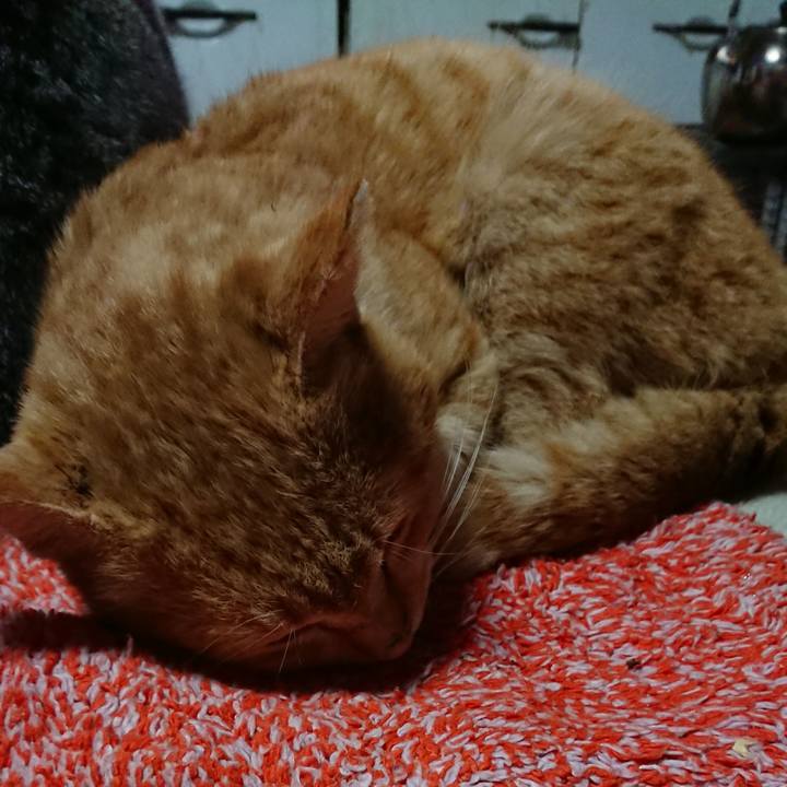 8ea2bd43 0347 4ad7 bd86 2b5dc14a126e 1554671806113