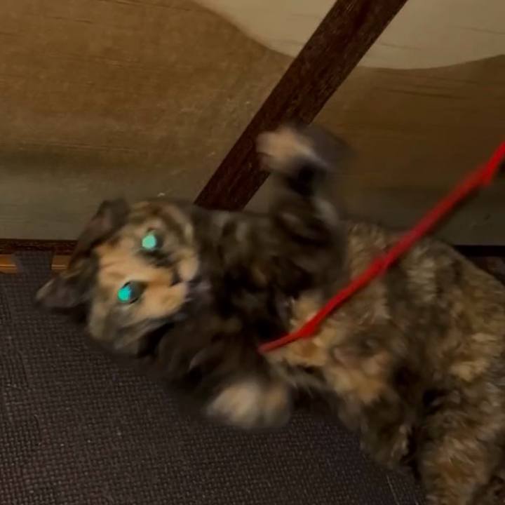 8ea3126e 6d0e 4fd3 8dac b33d5216114c 1746996292277