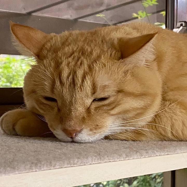 8ea33370 d1c8 40c2 9cf0 c2bc63a682fc 1600758738277