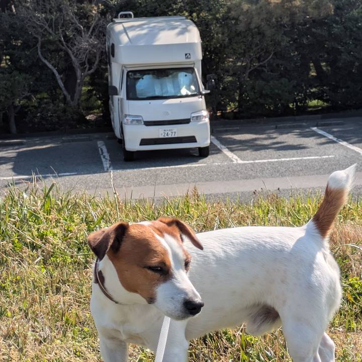 8ea33968 e7b7 4850 bcf1 0062af75e0aa 1745282929951