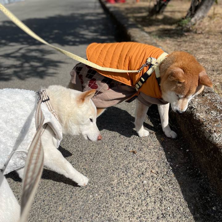 8ea3a258 4398 473e a8b8 6d099241a64d 1676207209650