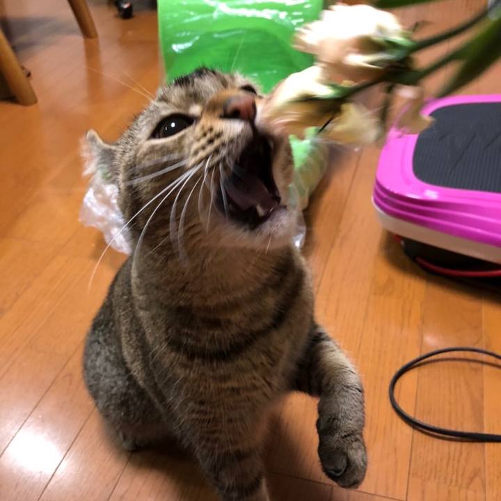 8ea3bc77 de26 43af 95d2 d88e38de065b 1632309346891