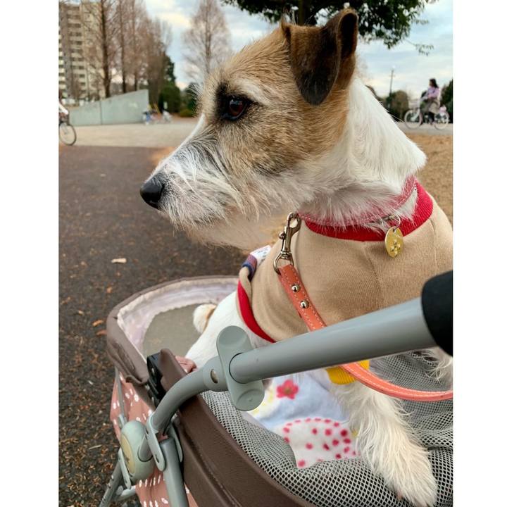 8ea3f1fa 420d 43d7 9042 c4d195ac2c6b 1609327585013