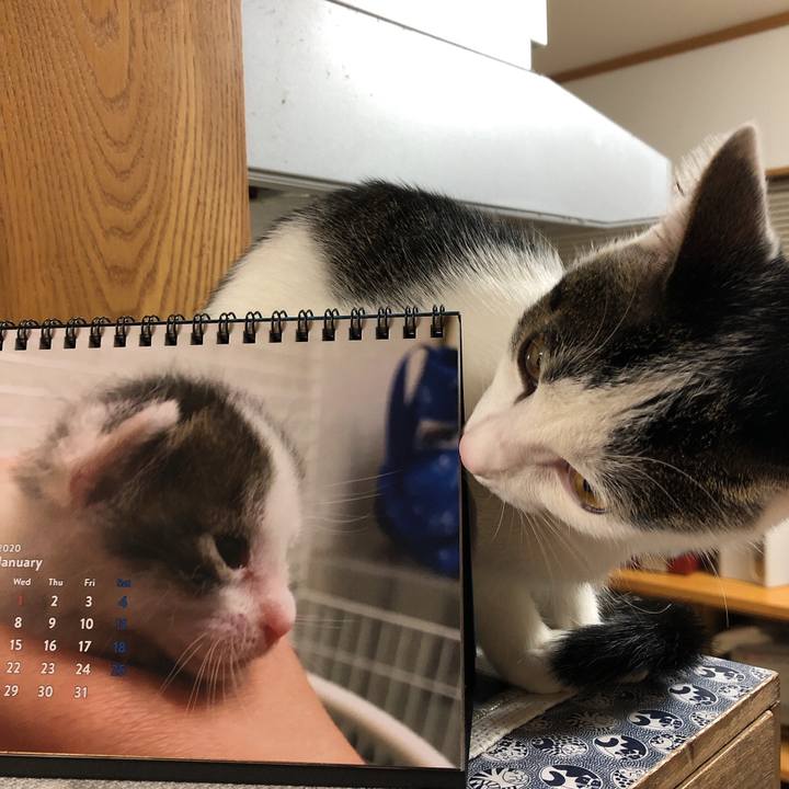 8ea3f57c 7953 489a bec0 42d45215445e 1575894346893