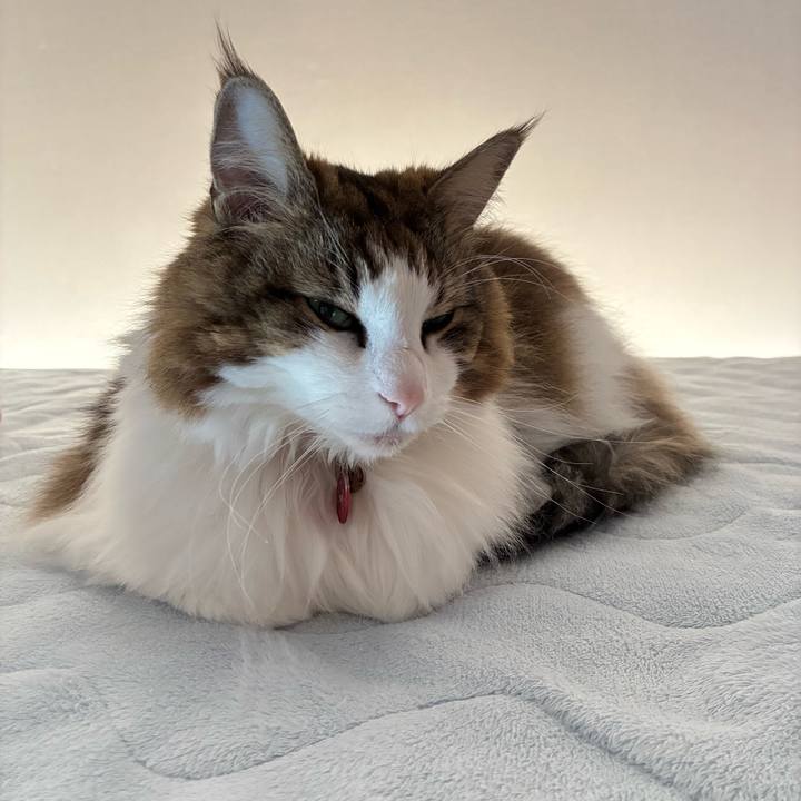 8ea4248f 4355 48d4 81f9 7a4d9e44a6d2 1770717240871