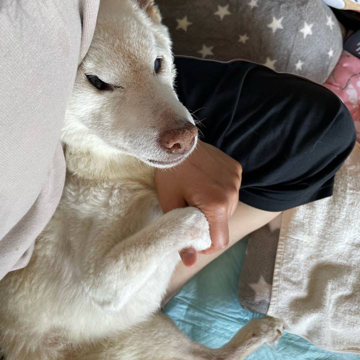 8ea44c25 11a6 4075 b094 da73432c5bac 1679972746944