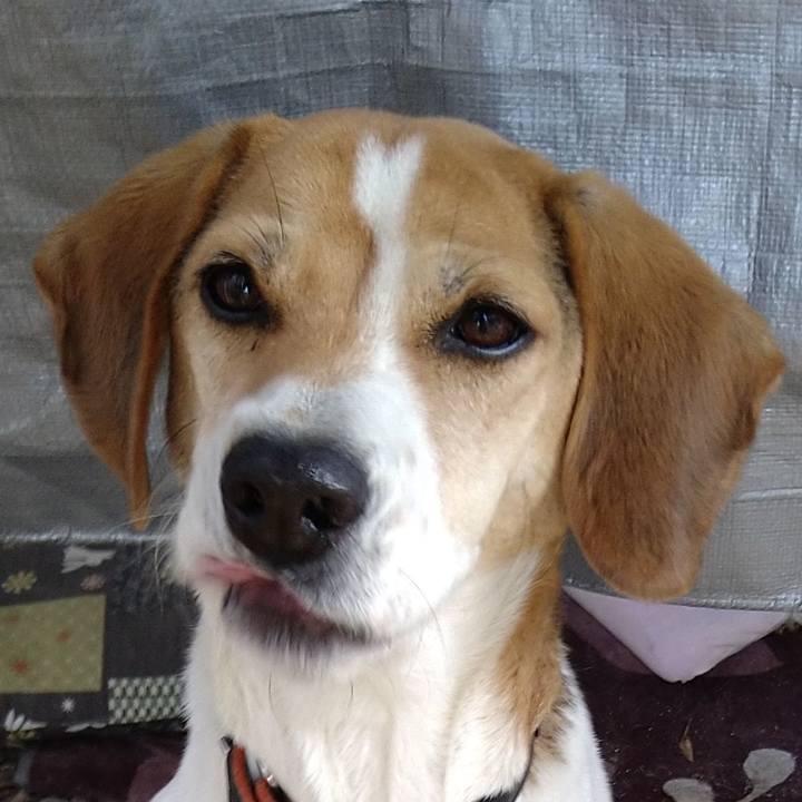 8ea4565c acdf 426b 8e40 1e97bd7a2537 1646568444900