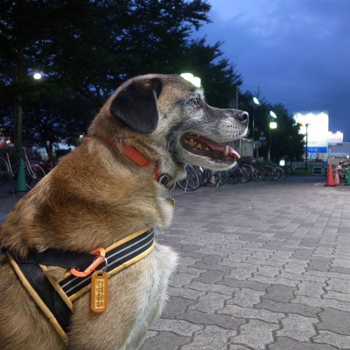 8ea47d74 c20b 4161 81cb 4eb375107560 1588726806784