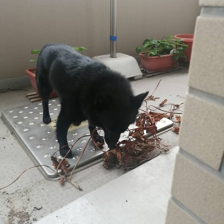 8ea4911c 4d42 4aef 8f50 1dee572e1b1c 1621397213130