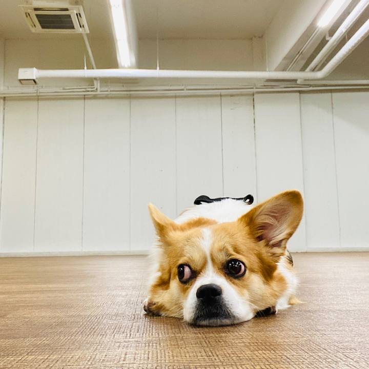 8ea4bcfc 445a 40f0 8b83 9a2cbc71c5cc 1594874290080