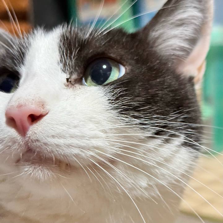 8ea4d0f3 397c 4ab0 a0c8 cbf578856779 1739842122118