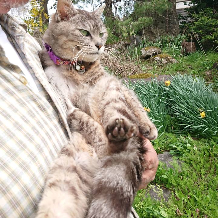 8ea4de37 1263 472d 9cfe ecfe027f3a46 1588568560517