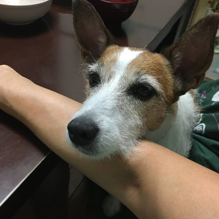 8ea4eecd 4f43 4263 a4d6 9058e816db89 1629934074421