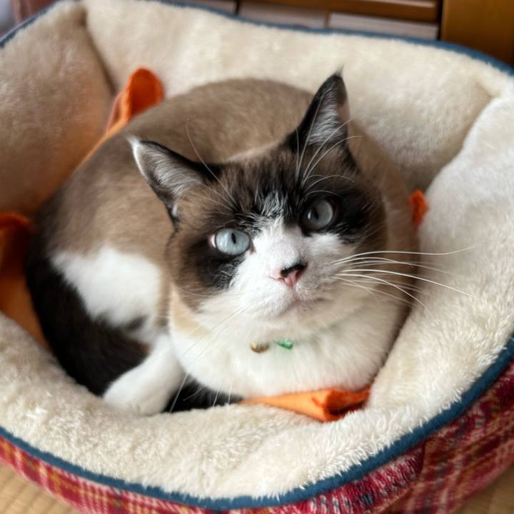 8ea5091f b66f 4156 8663 ece12e6891fc 1764317139175