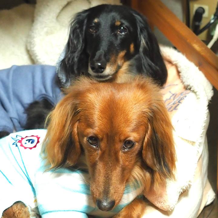 8ea52593 36e5 49ae 8220 344793284ed7 1741706499965