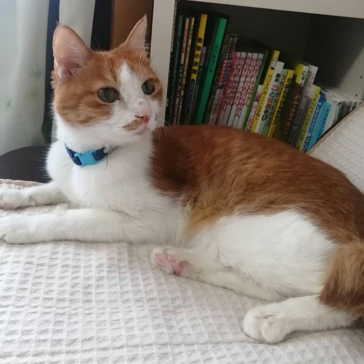 8ea52d20 b458 466b 8af3 1537eb43d2bb 1626645841399