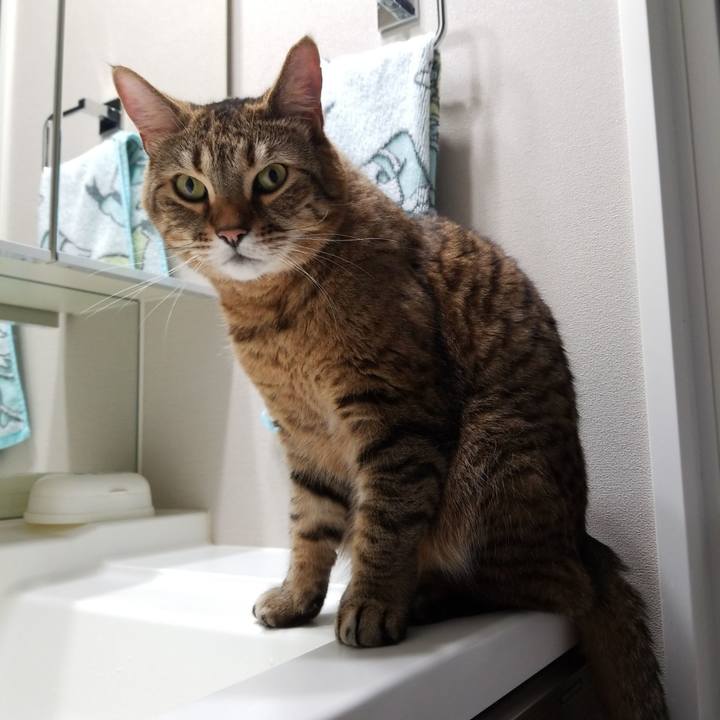 8ea59669 b584 4711 8645 2917a1247308 1587072971207