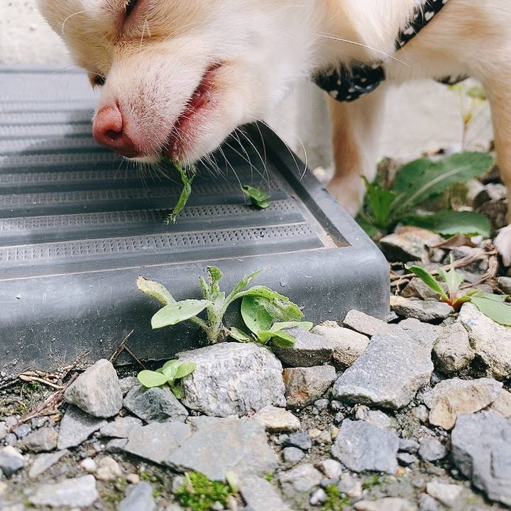 8ea59741 a210 45f6 92f9 7af208f4ab0f 1596086383981