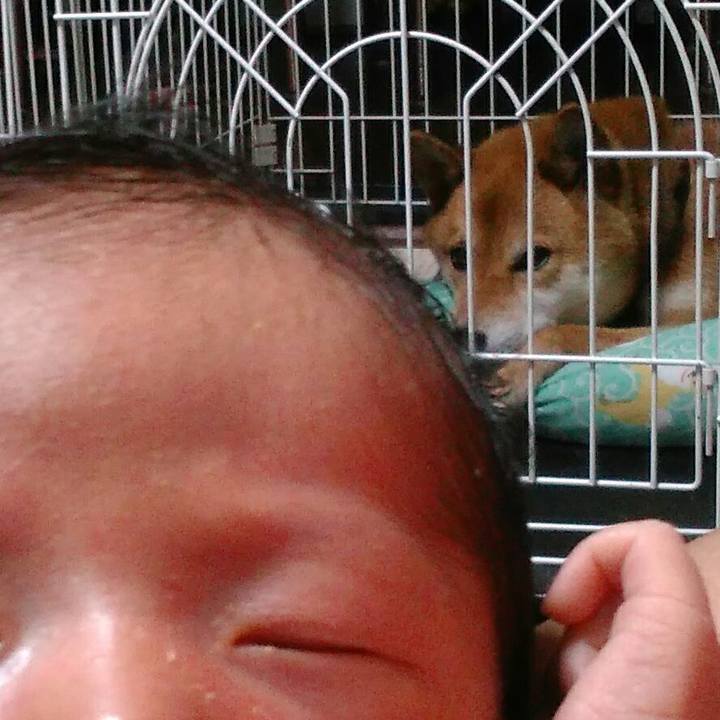 8ea59895 dc8b 411a b62f 1b3e8f6cb406 1530846688477