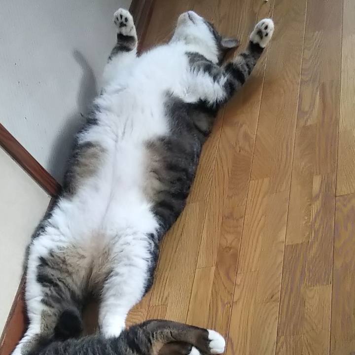 8ea5d807 18bd 40cb a5c0 f60b511a4261 1627030437604