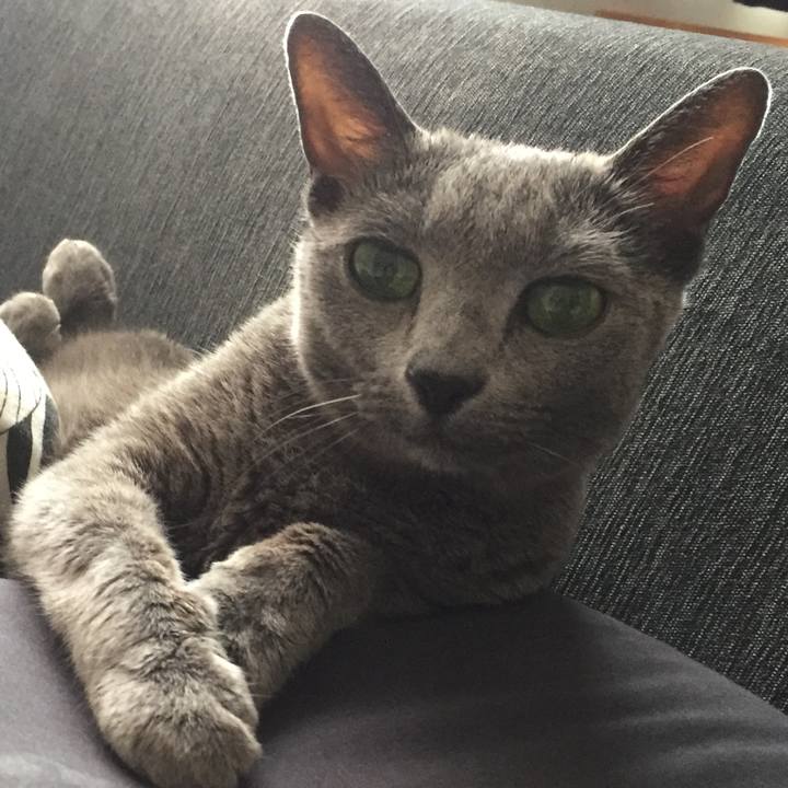 8ea5e978 0817 40ec 9728 748ffa501ecb 1565931068919