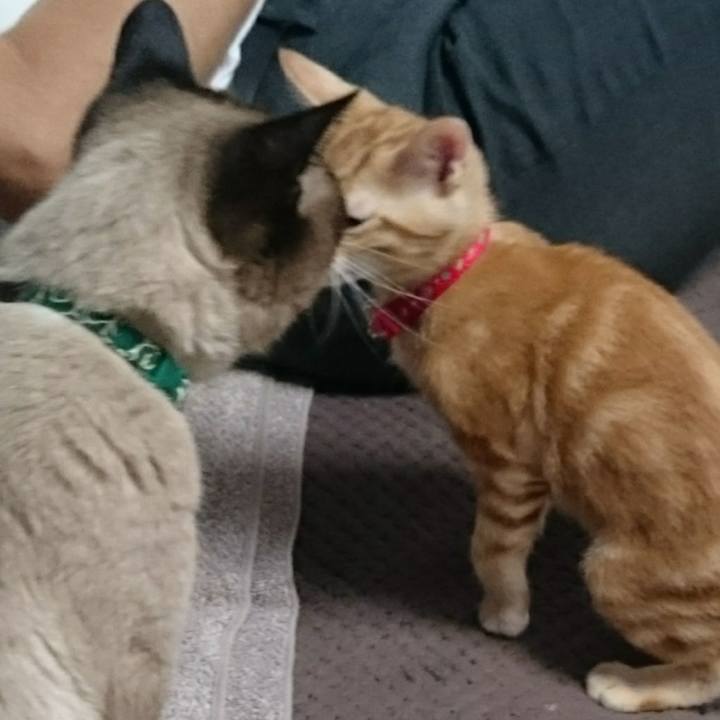 8ea60a5f 31f2 4212 b0c6 7452691e6458 1527564688346