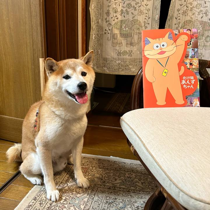 8ea66a29 b153 4cd3 9143 c53745dd870a 1721732910346