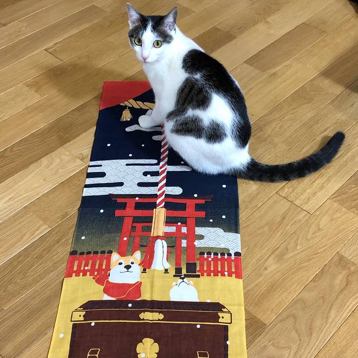 8ea66c2b 2efb 402c b90b ddc3a8293ee9 1609502750317