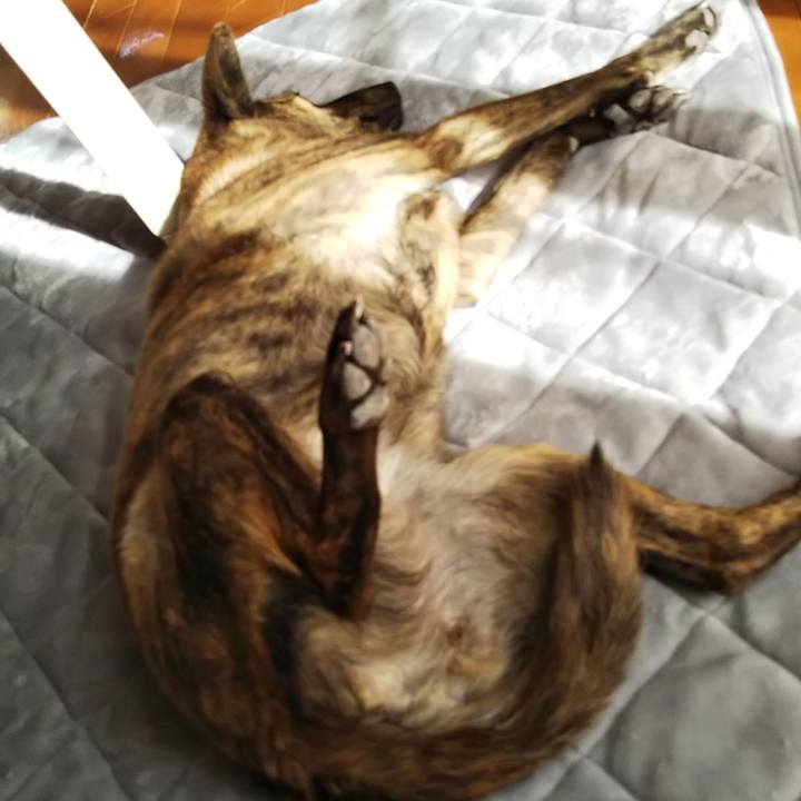 8ea68a8a ae89 40eb b076 3567473099b0 1547442597573