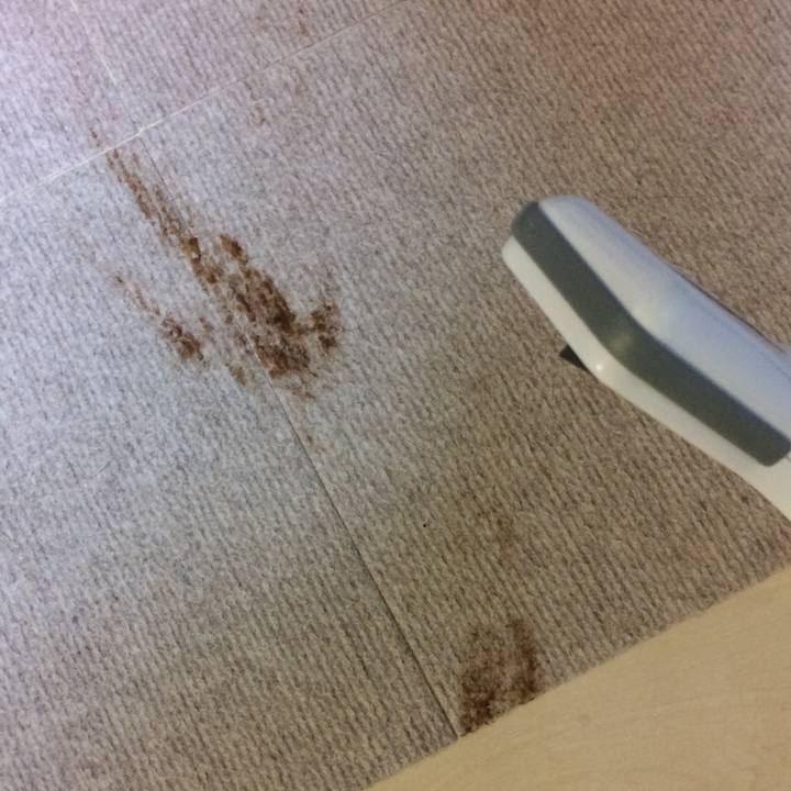 8ea6b622 1fd3 4468 b630 623b1e8fa65e 1603806125686